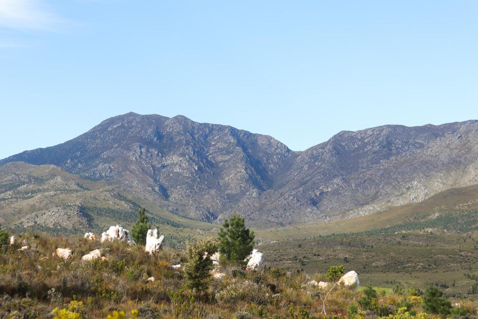 Avani Lodge Private Nature Reserve Botrivier Esterno foto